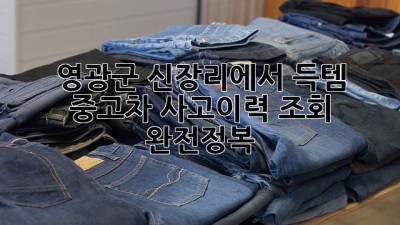 영광군 신장리에서 득템?! ✨ 중고차 사고이력 조회 완전정복! 🚗💨