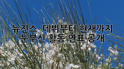 뉴진스 🐰 데뷔부터 현재까지! ✨ 눈부신 활동 연표 大공개